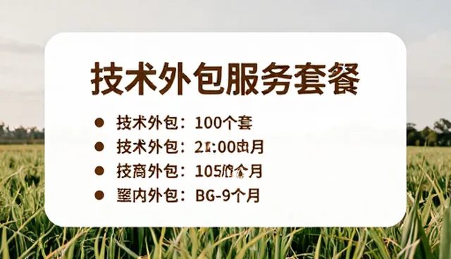 技术外包服务如何破解性能瓶颈问题