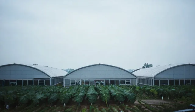 实际环节中本地部署的理解误区与应用场景分析